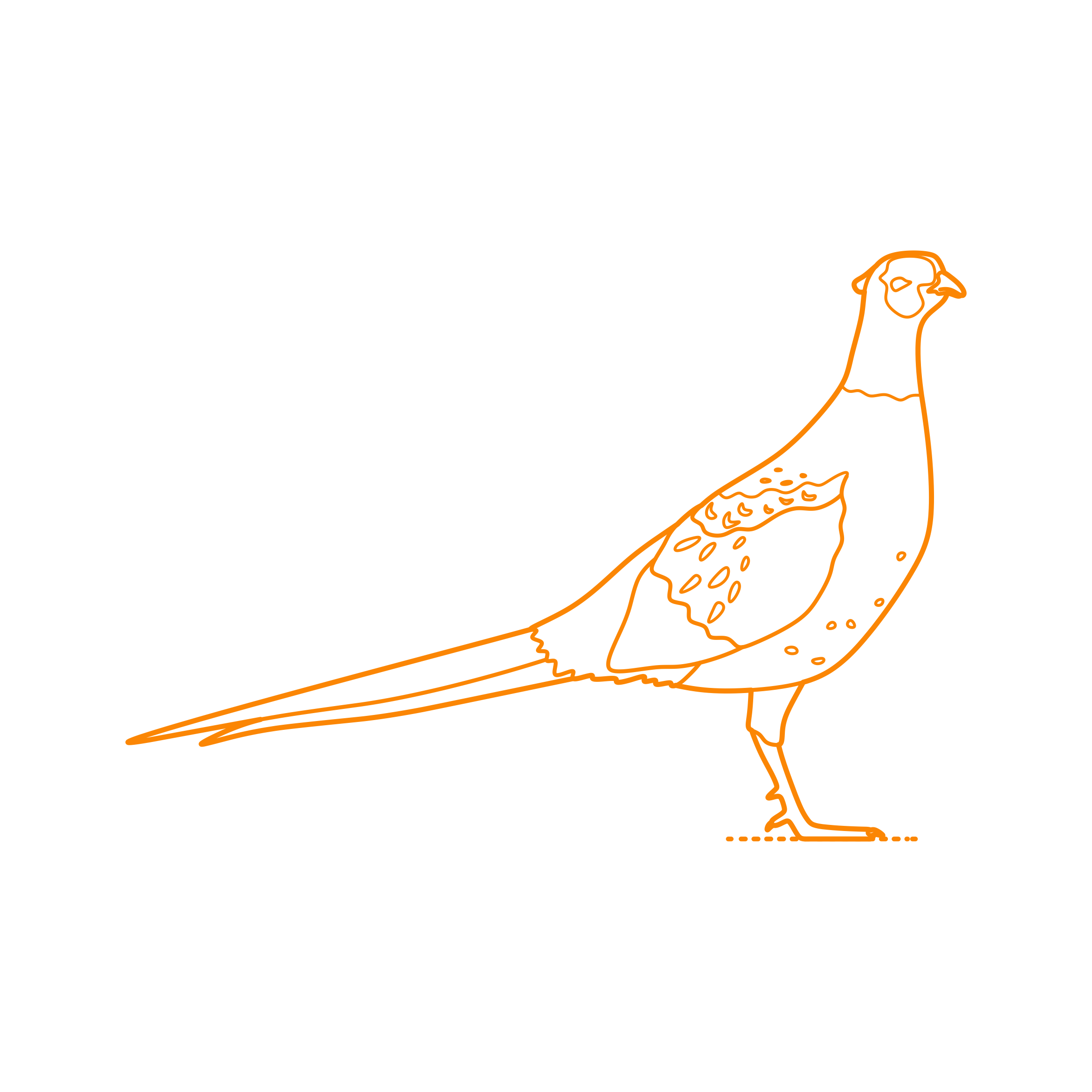 Animals Gamefowl Green Pheasant Tracing Svg Vector Free Vectors